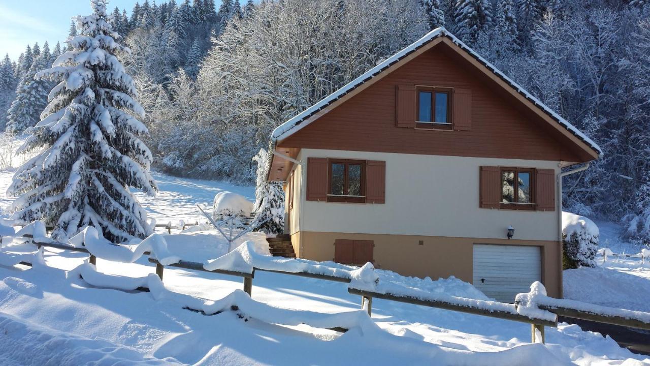 Le Bois Joli Chalet 4 Etoiles Cledicihome Cadre Paisible En Lisiere De Foret Gerardmer Ngoại thất bức ảnh