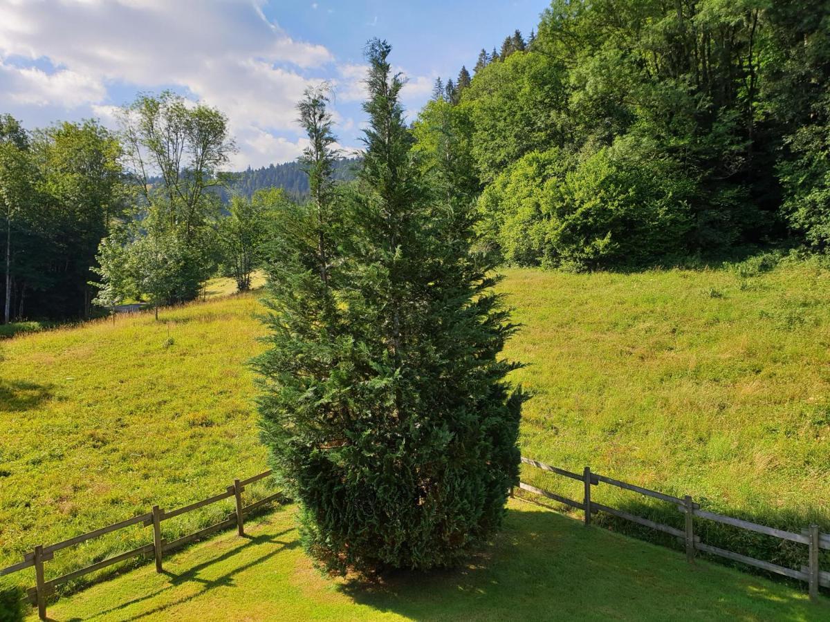 Le Bois Joli Chalet 4 Etoiles Cledicihome Cadre Paisible En Lisiere De Foret Gerardmer Ngoại thất bức ảnh