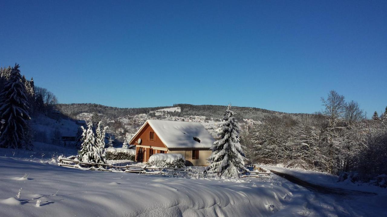 Le Bois Joli Chalet 4 Etoiles Cledicihome Cadre Paisible En Lisiere De Foret Gerardmer Ngoại thất bức ảnh