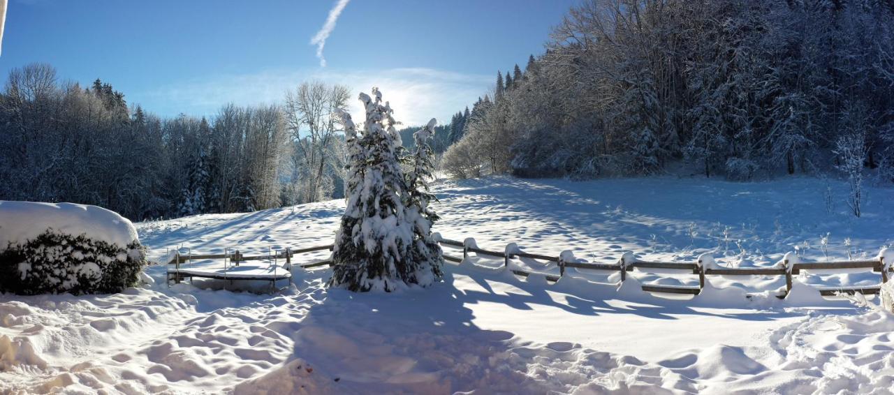 Le Bois Joli Chalet 4 Etoiles Cledicihome Cadre Paisible En Lisiere De Foret Gerardmer Ngoại thất bức ảnh